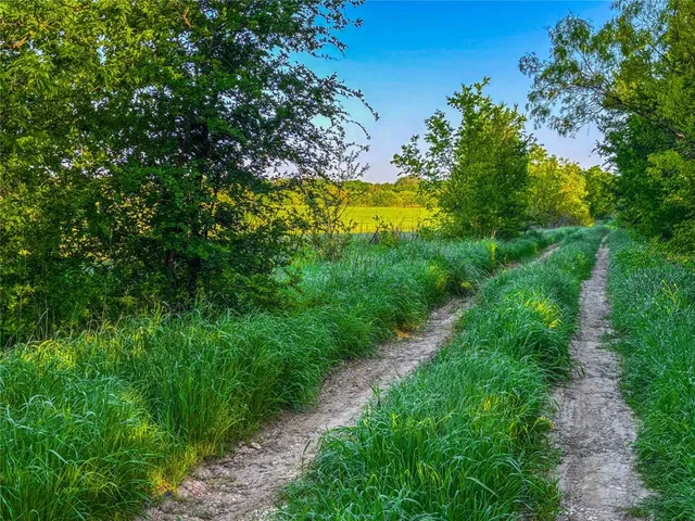 a yard with lots of green space