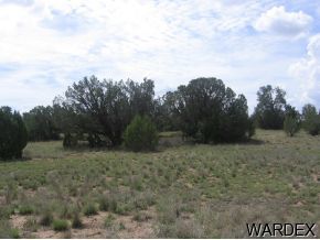 141 Granada Road Seligman, AZ 86337 - Photo 3 of 4 Additional Photo