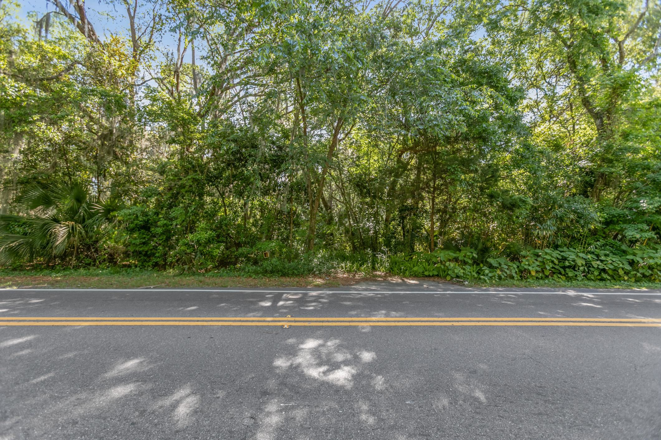 1770 Woodlawn Road St. Augustine, FL 32084 - Photo 11 of 16 a view of a yard with a plants