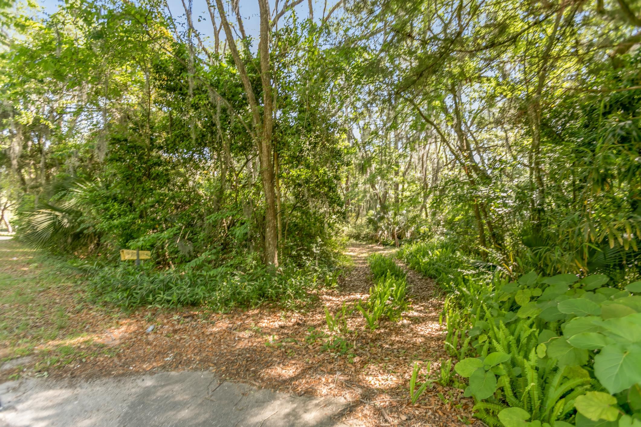 1770 Woodlawn Road St. Augustine, FL 32084 - Photo 12 of 16 a view of a yard with a tree