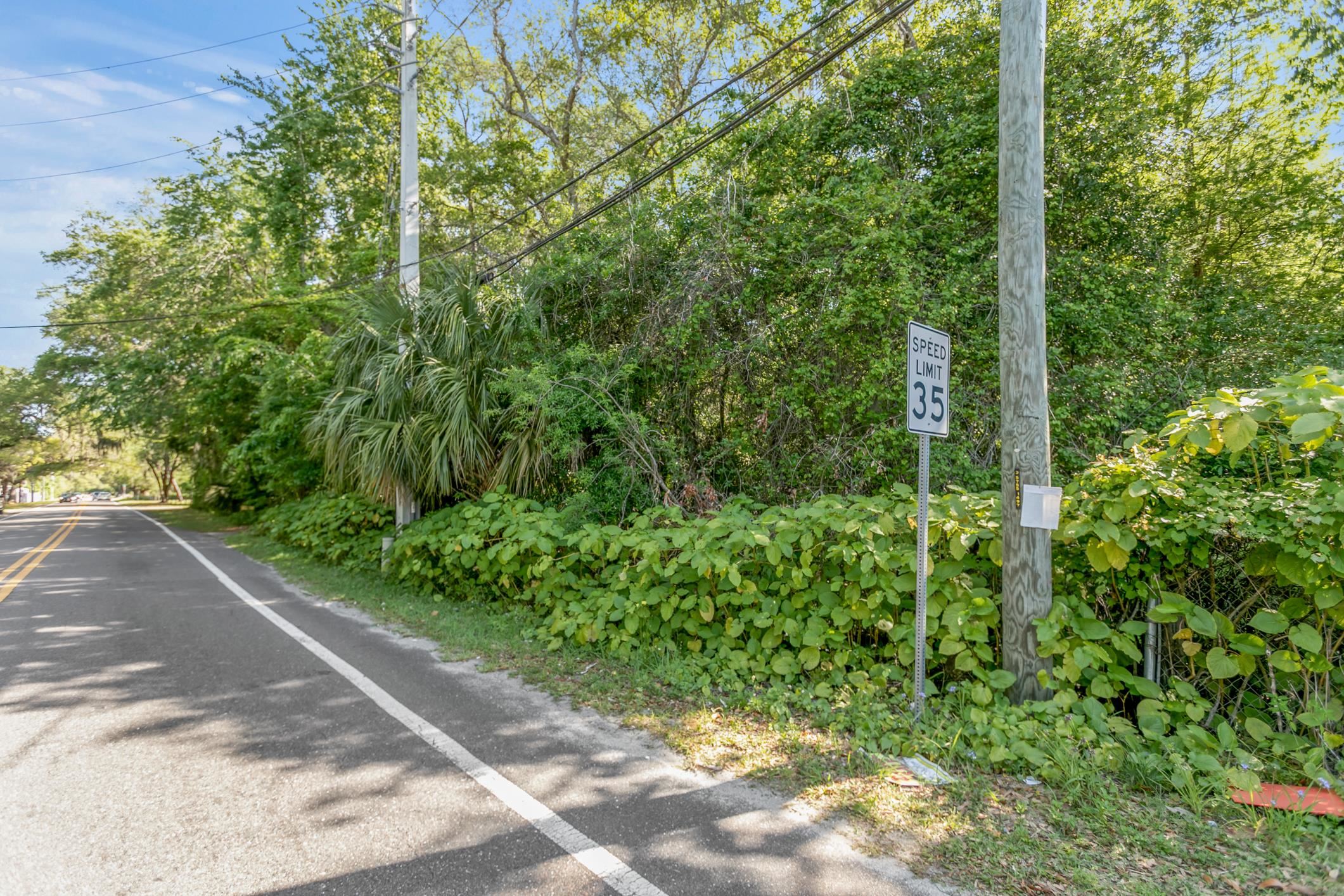 1770 Woodlawn Road St. Augustine, FL 32084 - Photo 14 of 16 a view of a garden with plants