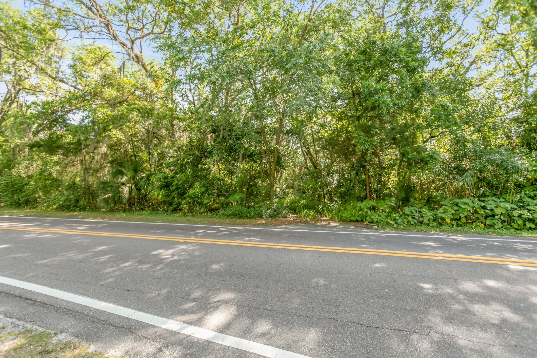 1770 Woodlawn Road St. Augustine, FL 32084 - Photo 15 of 16 a view of a yard with a tree