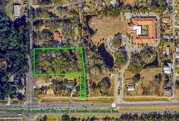 a view of a trees and yard