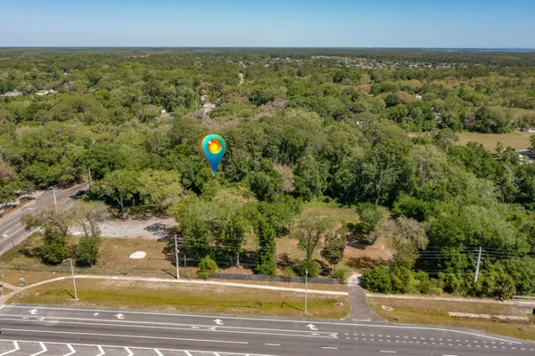 a view of a yard with a tree