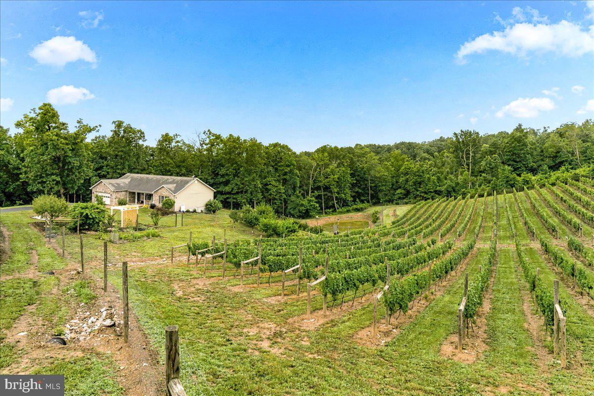1309 Redland Road Cross Junction, VA 22625 - Photo 82 of 84