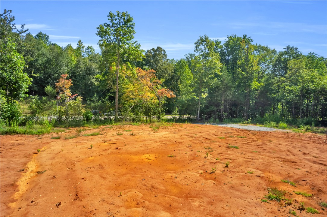 167 Cherokee Trail Easley, SC 29640 - Photo 4 of 18 A spacious, cleared lot offers a prime building opportunity amidst mature trees.