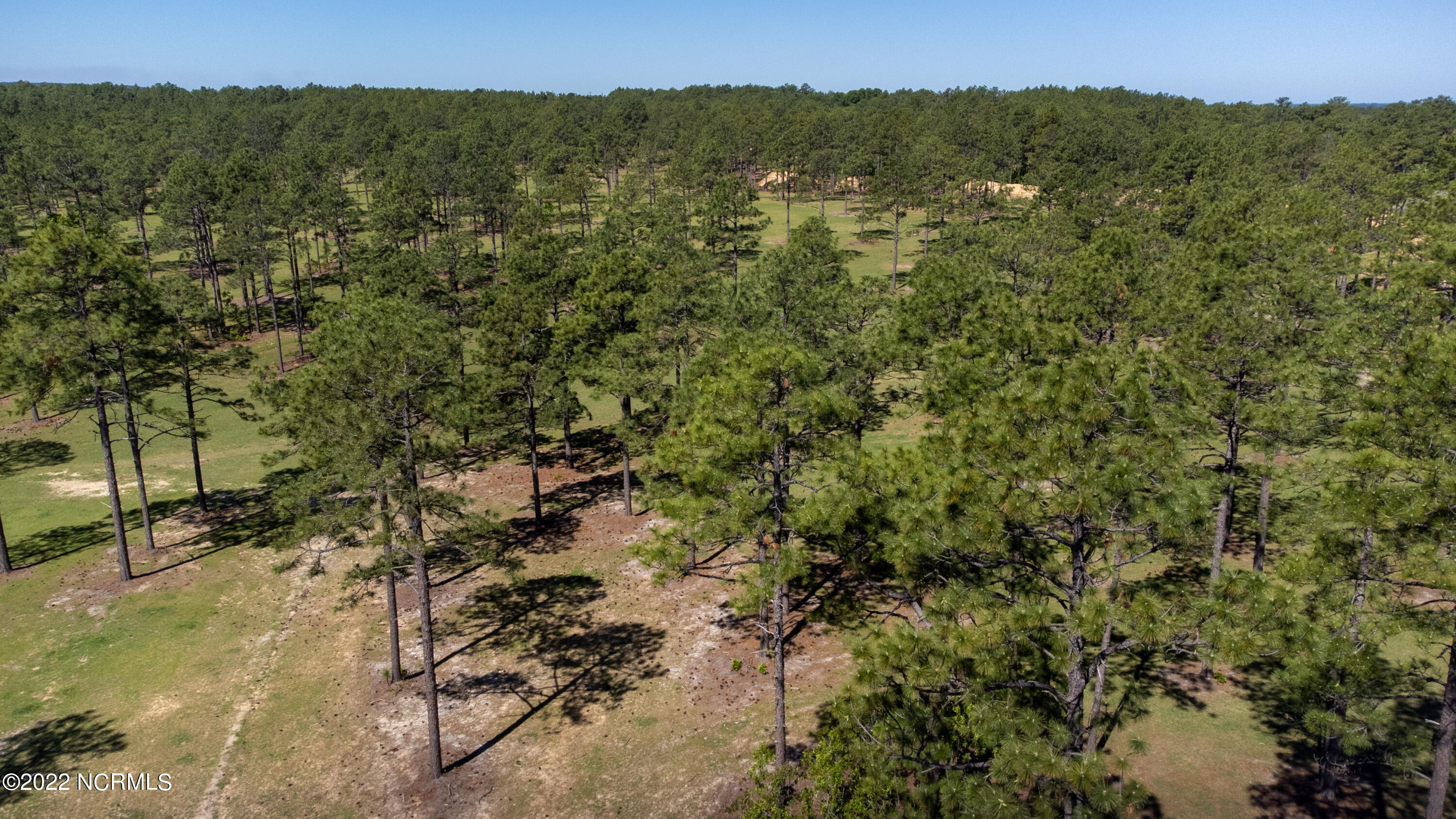 184 Youngs Road Vass, NC 28394 - Photo 17 of 28 DJI_0046-HDR