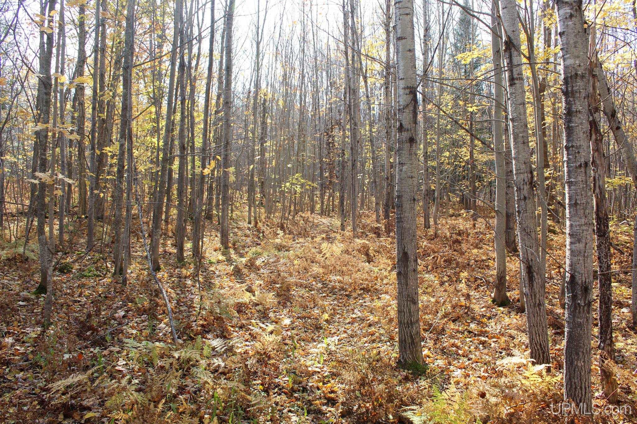 Tbd Pike River Road Chassell, MI 49916 - Photo 31 of 57 Gallery Image 31