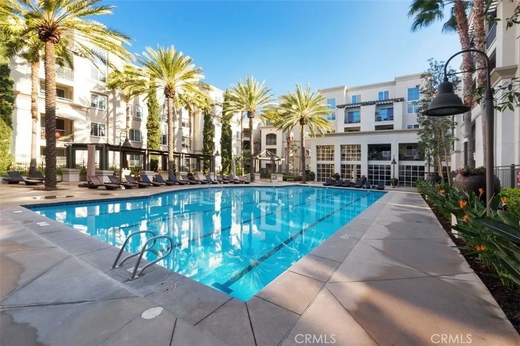 a view of a swimming pool with a lawn chairs under palm trees