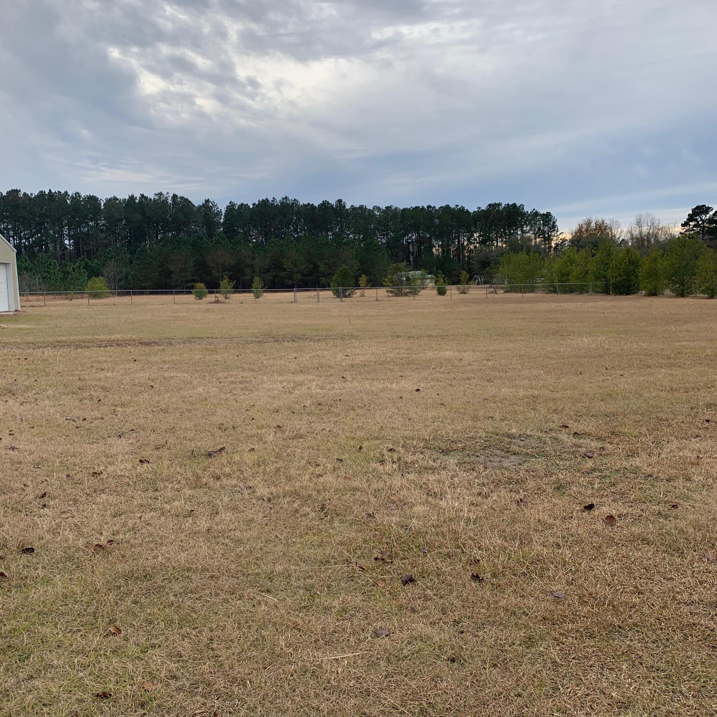 1611 Gator Lake Road Manning, SC 29102 - Photo 17 of 19 1