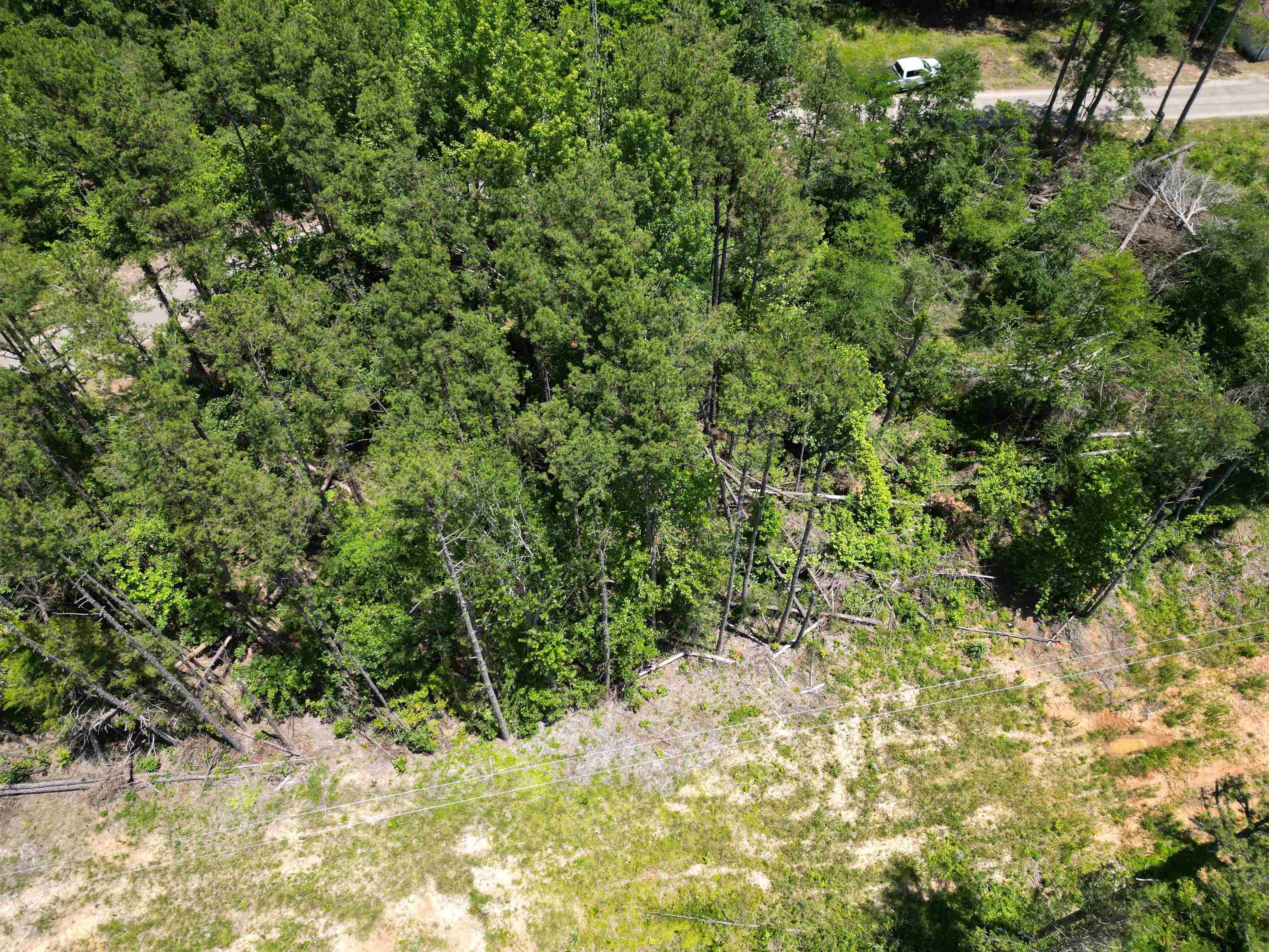 5 Talley Road Hornsby, TN 38044 - Photo 9 of 10 Aerial view