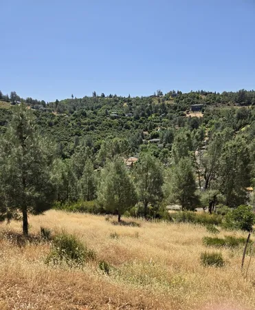 a view of a field