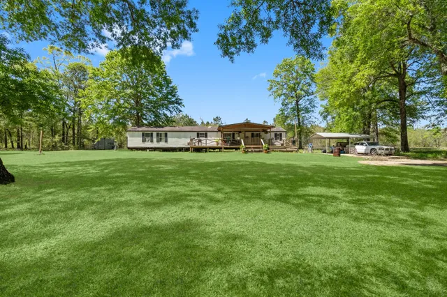 a view of a park with large trees