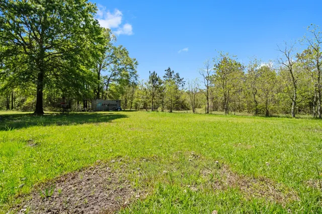 a view of outdoor space with deck and trees