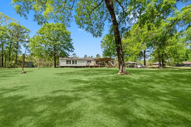 a view of green field