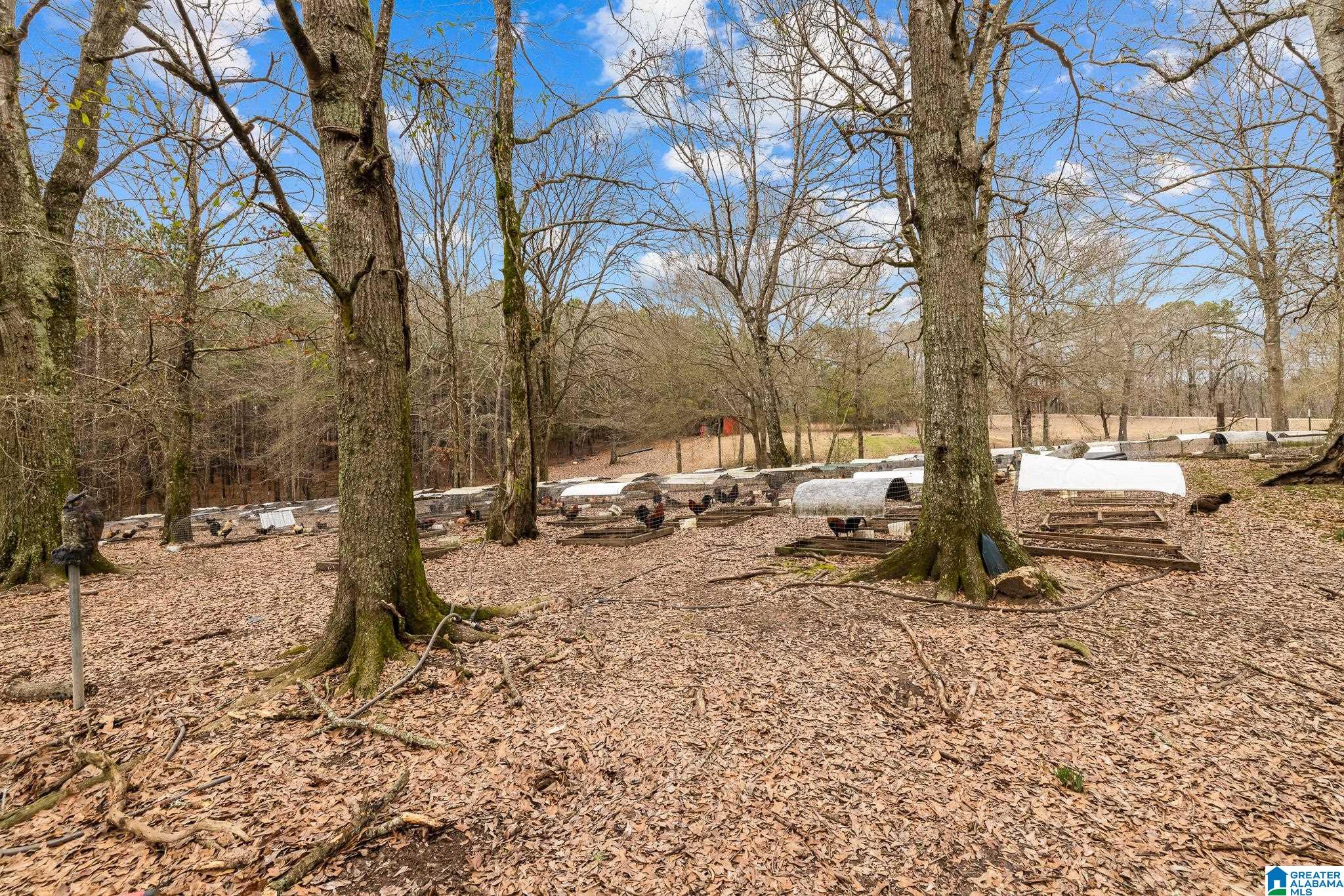 814 Deer Trace Road Pell City, AL 35125 - Photo 33 of 40
