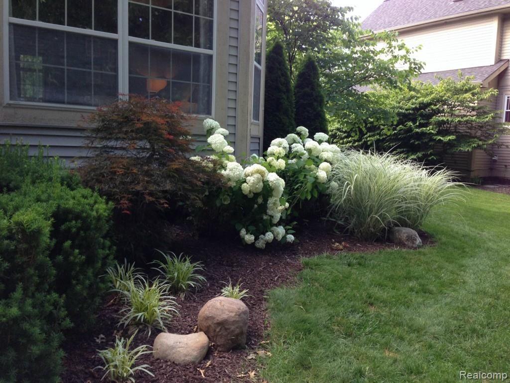 2556 Ravineside South Howell, MI 48843 - Photo 7 of 40 Gorgeous landscaping all around