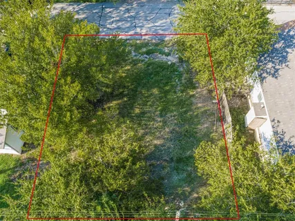 a view of a yard with plants and large trees
