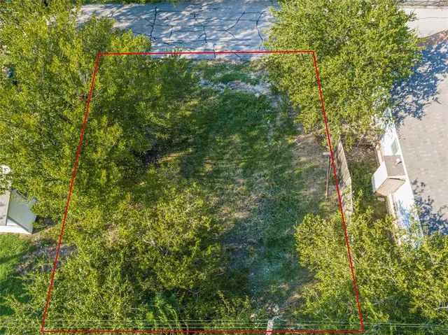 a view of a yard with plants and large trees