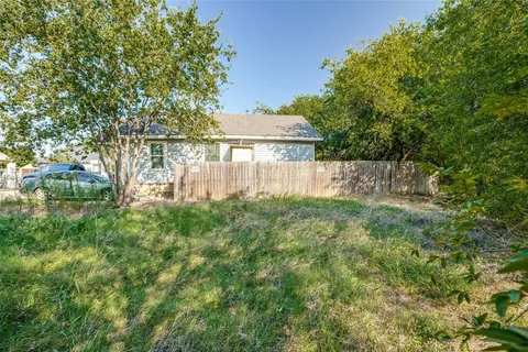 a view of a backyard with plants and a large tree