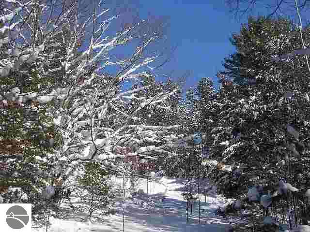 5566 Goshawk Ridge Traverse City, MI 49684 - Photo 10 of 15 1711989-9.JPG