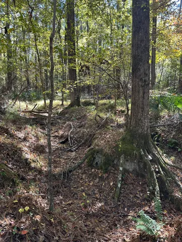 $15,000 | 167 Southwind Drive, McCormick, SC 29835