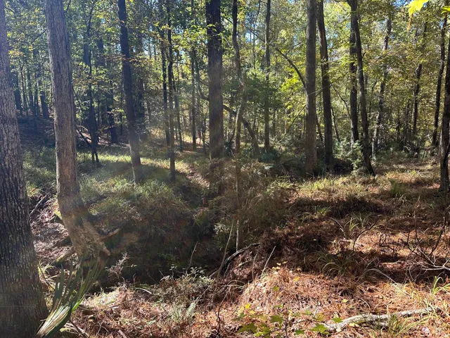 $15,000 | 167 Southwind Drive, McCormick, SC 29835