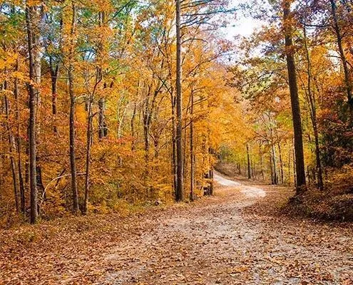 $15,000 | 167 Southwind Drive, McCormick, SC 29835