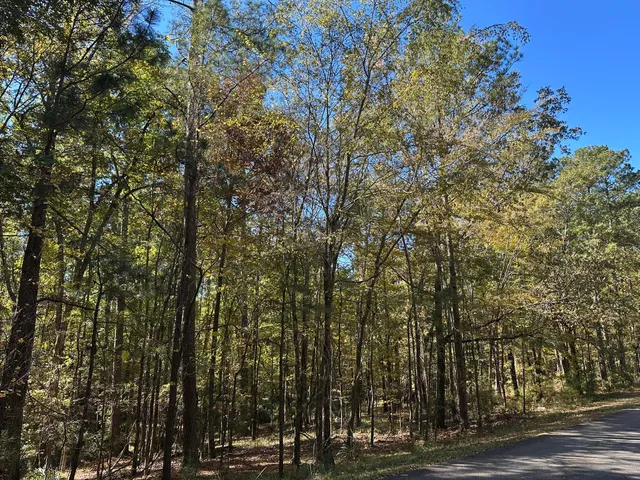 $15,000 | 167 Southwind Drive, McCormick, SC 29835