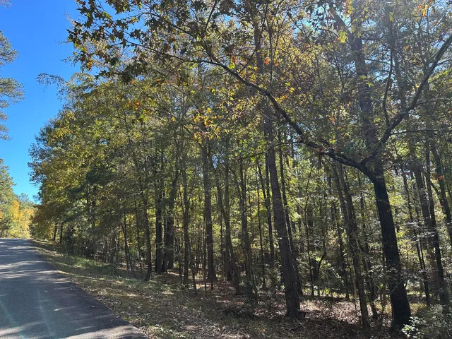 $15,000 | 167 Southwind Drive, McCormick, SC 29835