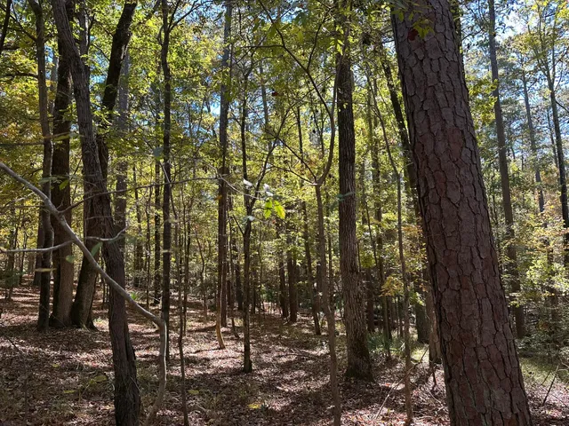 $15,000 | 167 Southwind Drive, McCormick, SC 29835