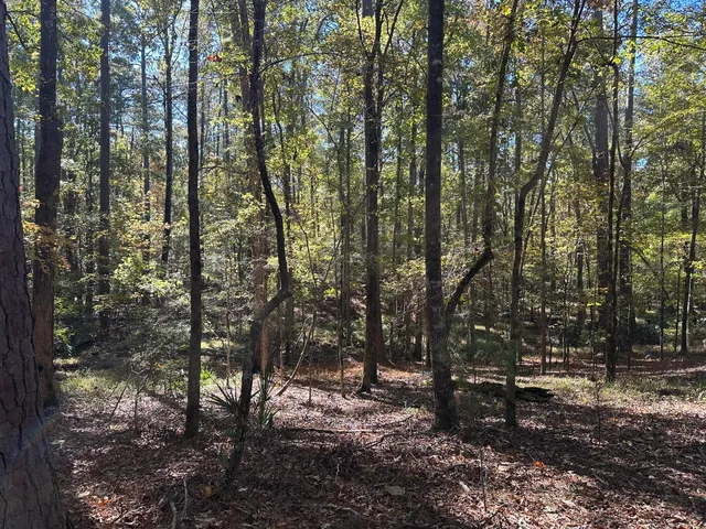 $15,000 | 167 Southwind Drive, McCormick, SC 29835