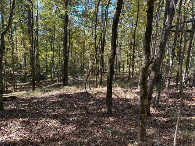 $15,000 | 167 Southwind Drive, McCormick, SC 29835