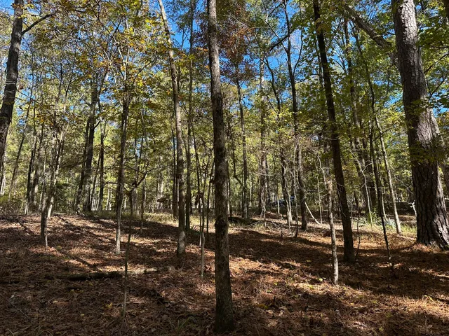 $15,000 | 167 Southwind Drive, McCormick, SC 29835