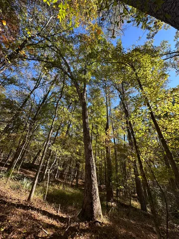 $15,000 | 167 Southwind Drive, McCormick, SC 29835