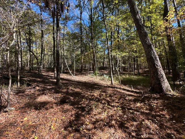 $15,000 | 167 Southwind Drive, McCormick, SC 29835