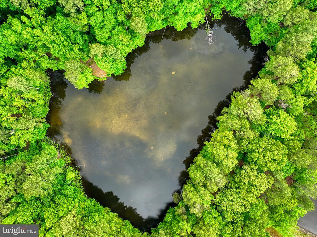 27950 Woodland Road Seaford, DE 19973 - Photo 17 of 43 an aerial view of a garden