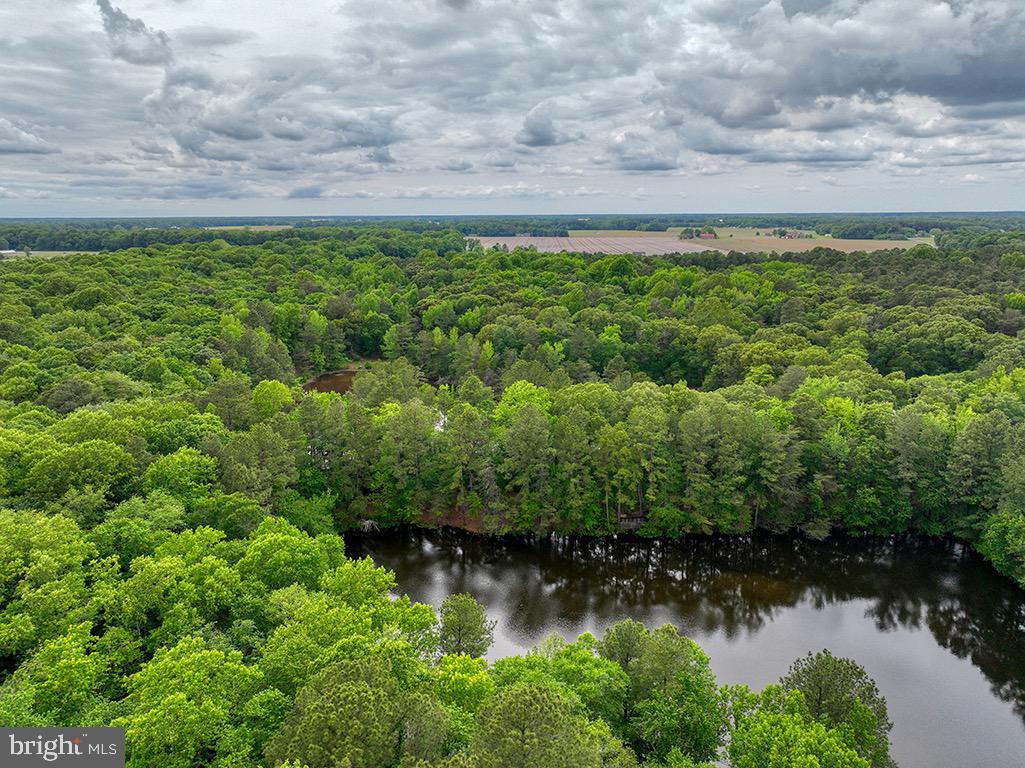 27950 Woodland Road Seaford, DE 19973 - Photo 23 of 43 a view of a lake with green field and trees
