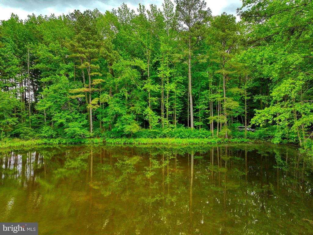 27950 Woodland Road Seaford, DE 19973 - Photo 3 of 43 a view of lake background with green space