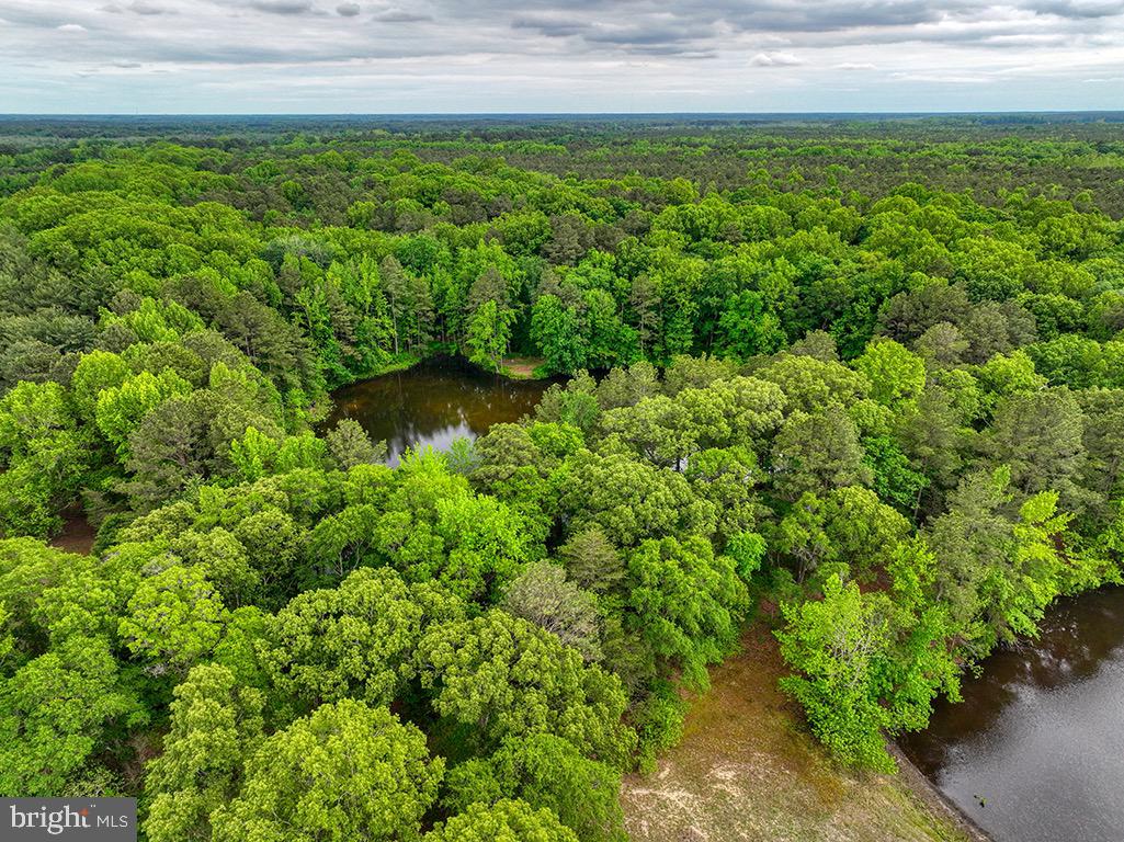 27950 Woodland Road Seaford, DE 19973 - Photo 5 of 43 a view of a garden