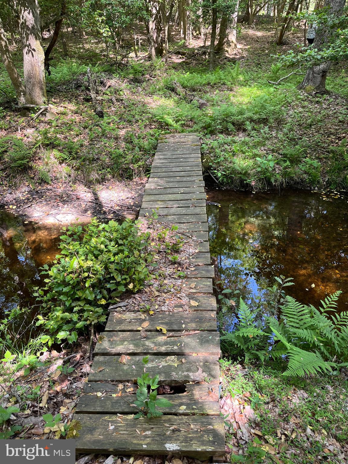 27950 Woodland Road Seaford, DE 19973 - Photo 10 of 43 a backyard of a house with lots of green space