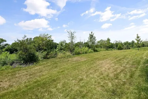 a view of a big yard with plants and large trees