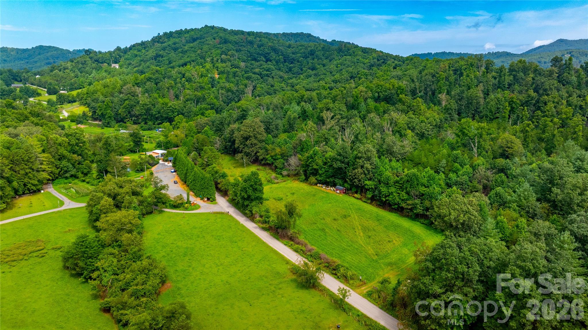 99999 Bob Barnwell Road Fletcher, NC 28732 - Photo 14 of 29 Gallery Image 14