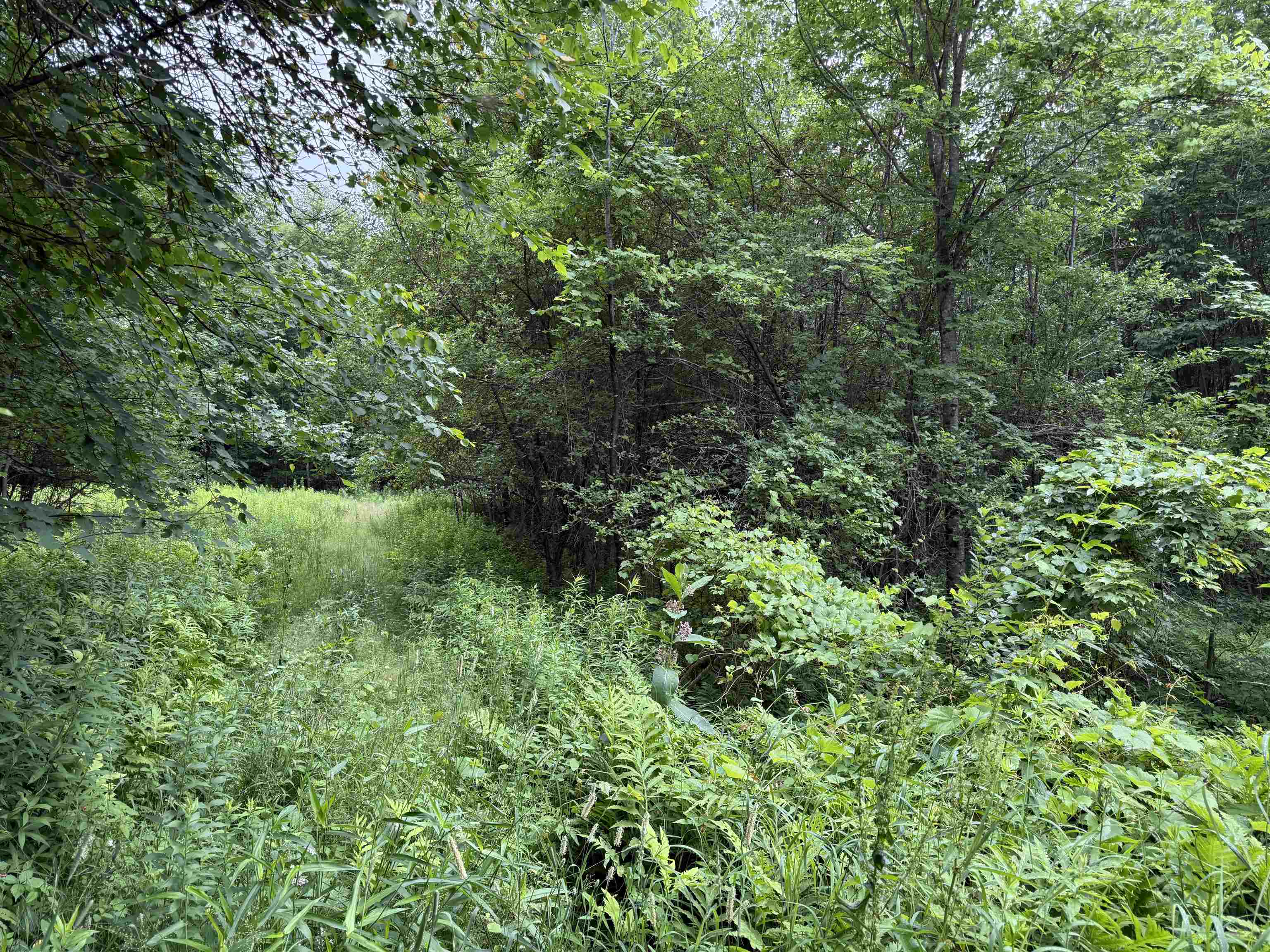 90 Stone Hill Road Rumney, NH 03266 - Photo 3 of 11