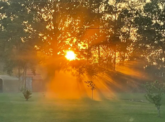 $515,000 | 16180 Oak Lawn Drive, Splendora, TX 77372