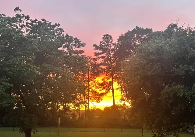 $515,000 | 16180 Oak Lawn Drive, Splendora, TX 77372