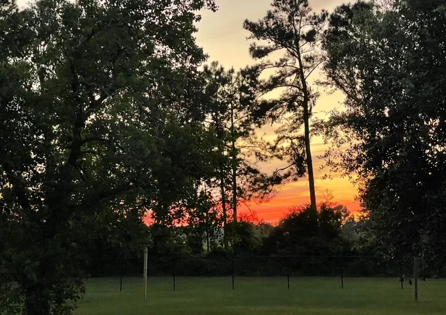 $515,000 | 16180 Oak Lawn Drive, Splendora, TX 77372