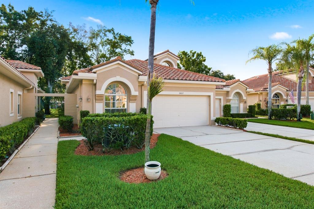 3857 Timber Ridge Court Palm Harbor, FL 34685 - Photo 4 of 56