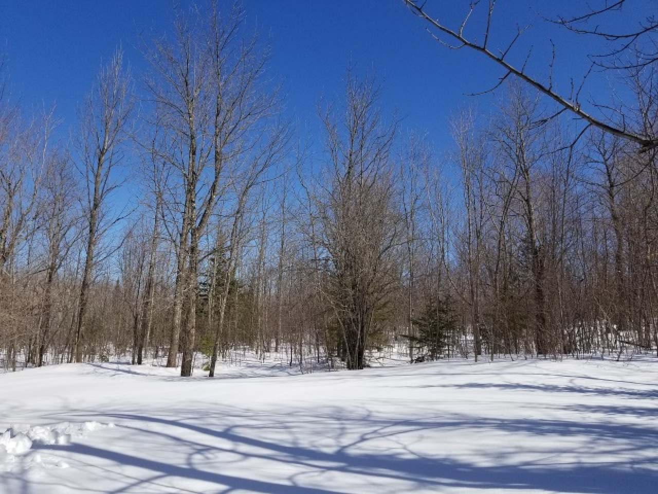 15236N Berg Road Saxon, WI 54559 - Photo 21 of 27 Gallery Image 21