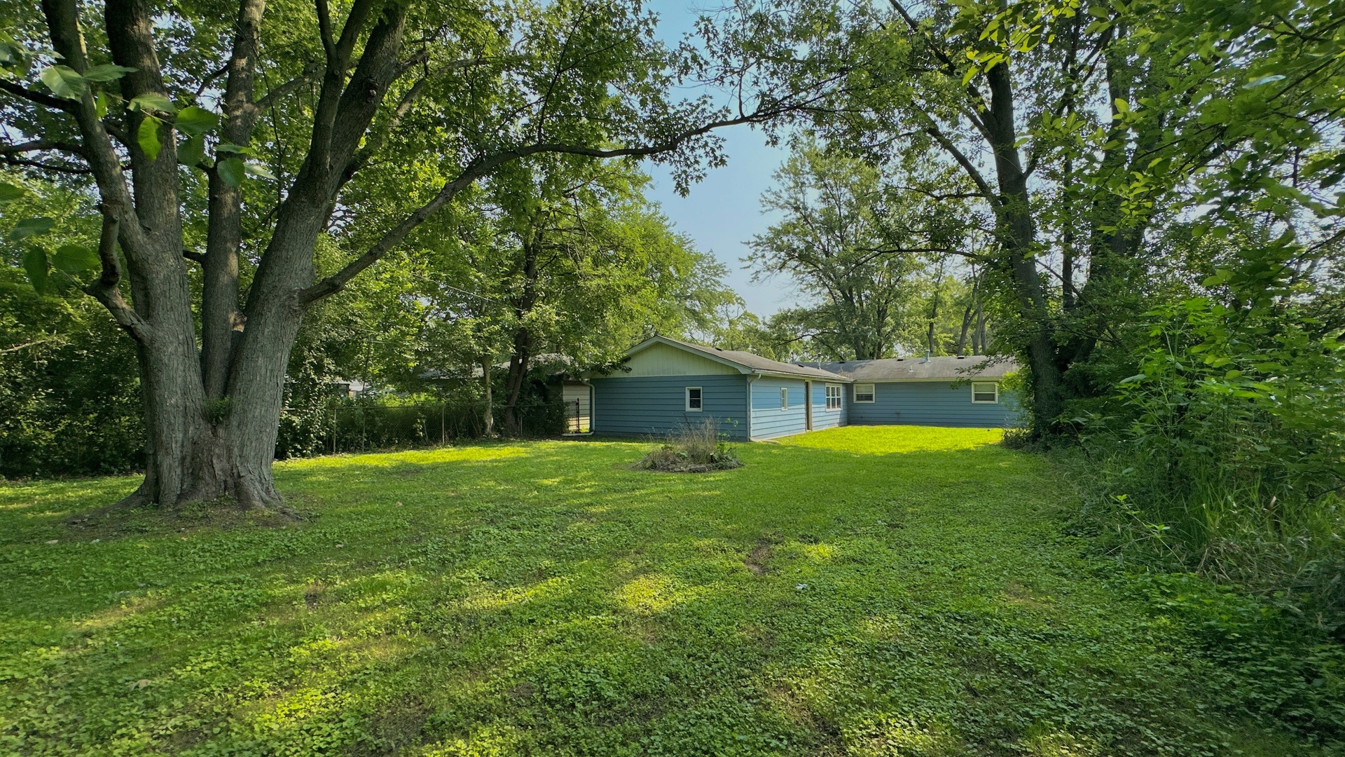 3512 John Street Steger, IL 60475 - Photo 18 of 18 a view of a big yard with plants and large trees